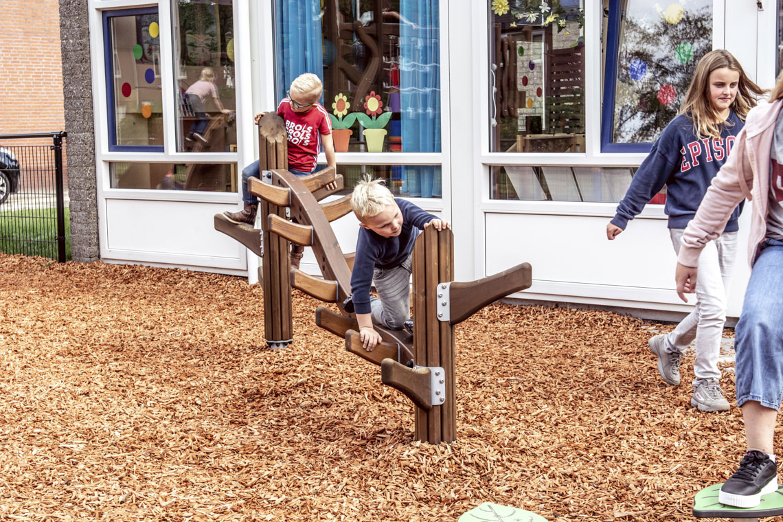 Meer weten over Parkour, Lappset Memo of Flora?