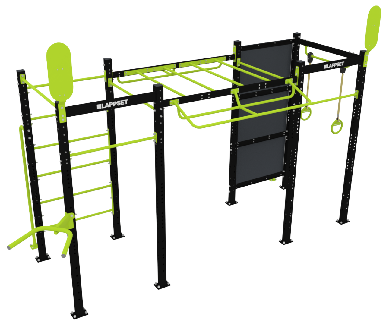 Functional Fitness Rig M
