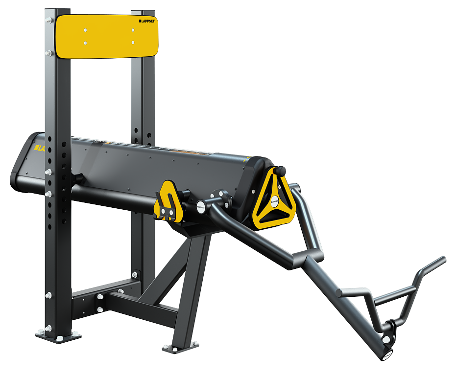 Sisu Bicep Curl