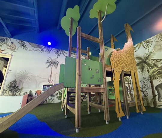 Ontdek de mogelijkheden van een binnenspeeltuin